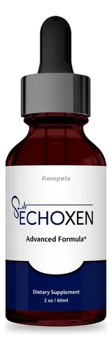 Echo Xen